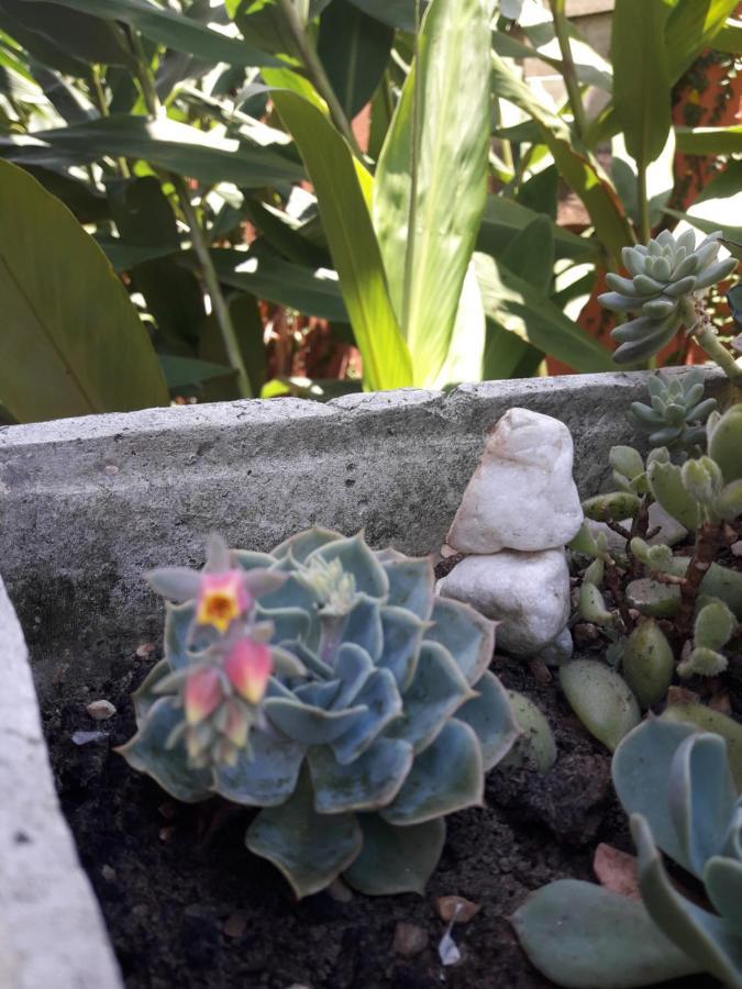 Casa Indaia Bnb - Casa Compartilhada Caraguatatuba Eksteriør bilde