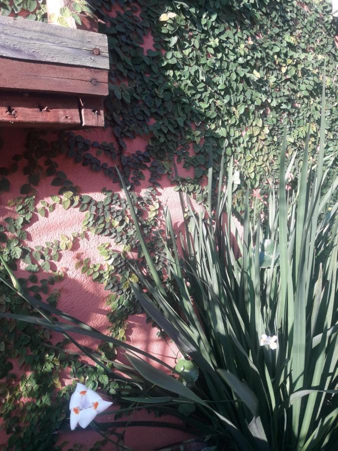 Casa Indaia Bnb - Casa Compartilhada Caraguatatuba Eksteriør bilde