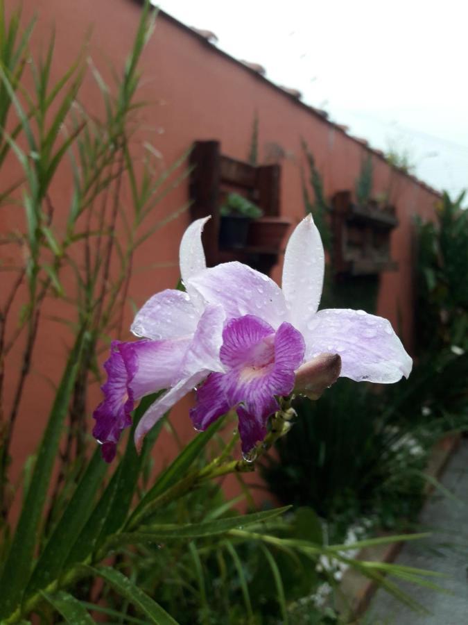 Casa Indaia Bnb - Casa Compartilhada Caraguatatuba Eksteriør bilde