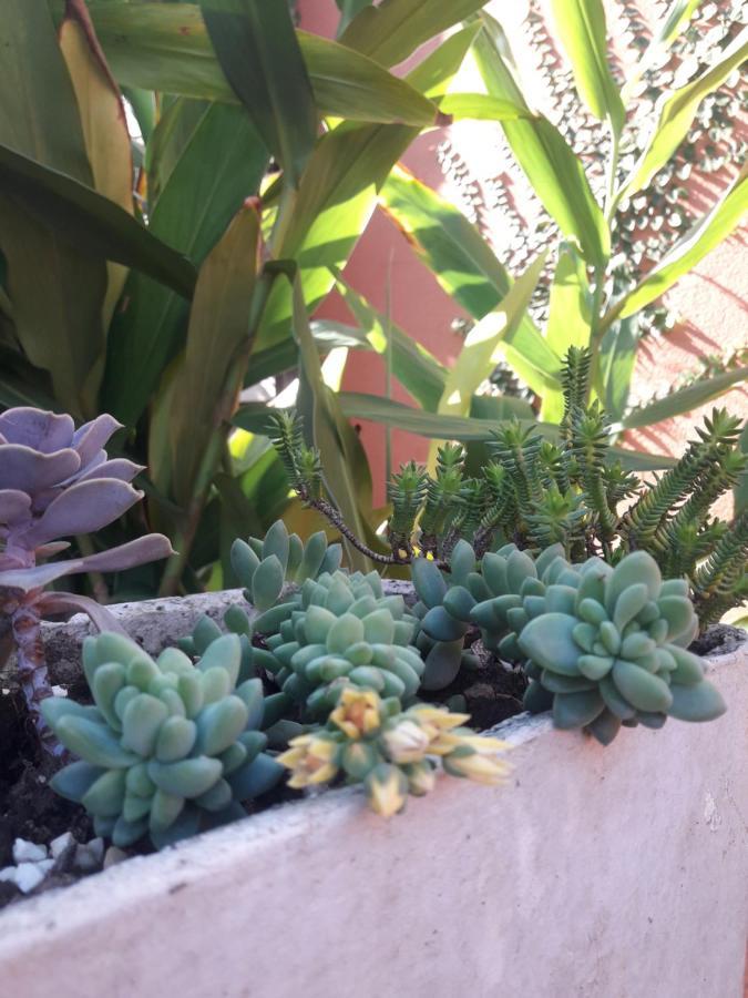 Casa Indaia Bnb - Casa Compartilhada Caraguatatuba Eksteriør bilde